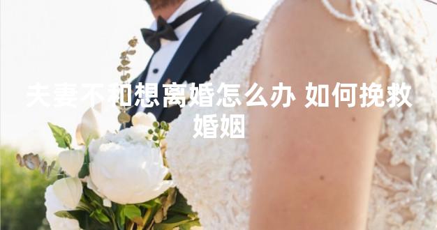 夫妻不和想离婚怎么办 如何挽救婚姻